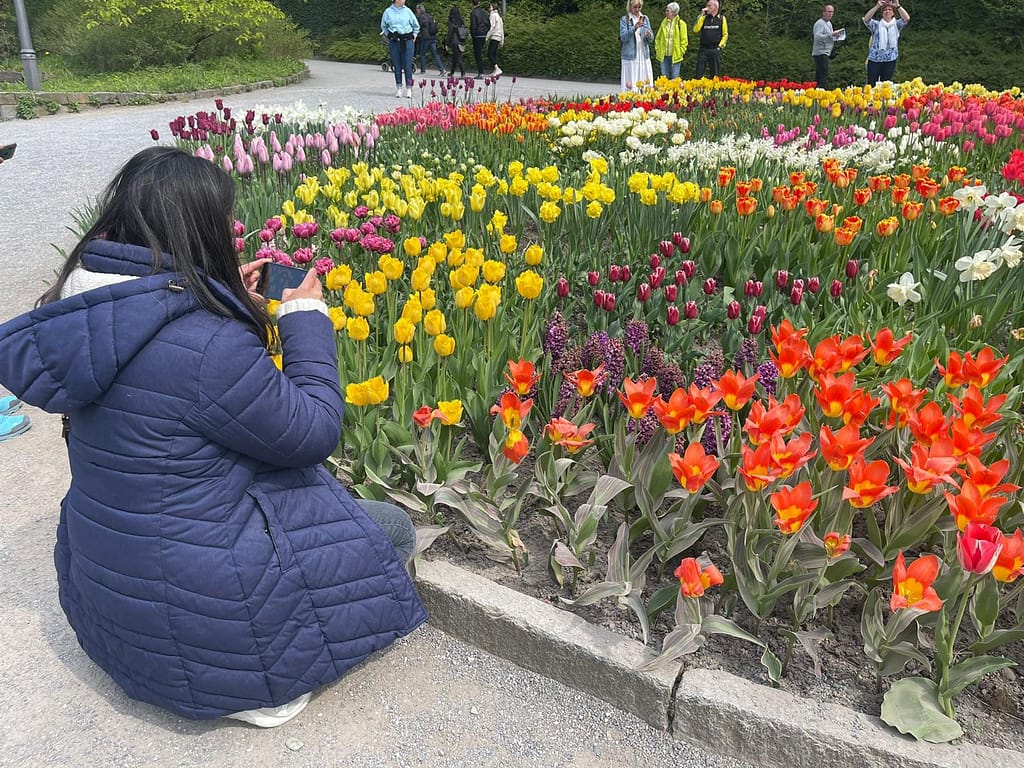 Mainau a Ilha das Flores