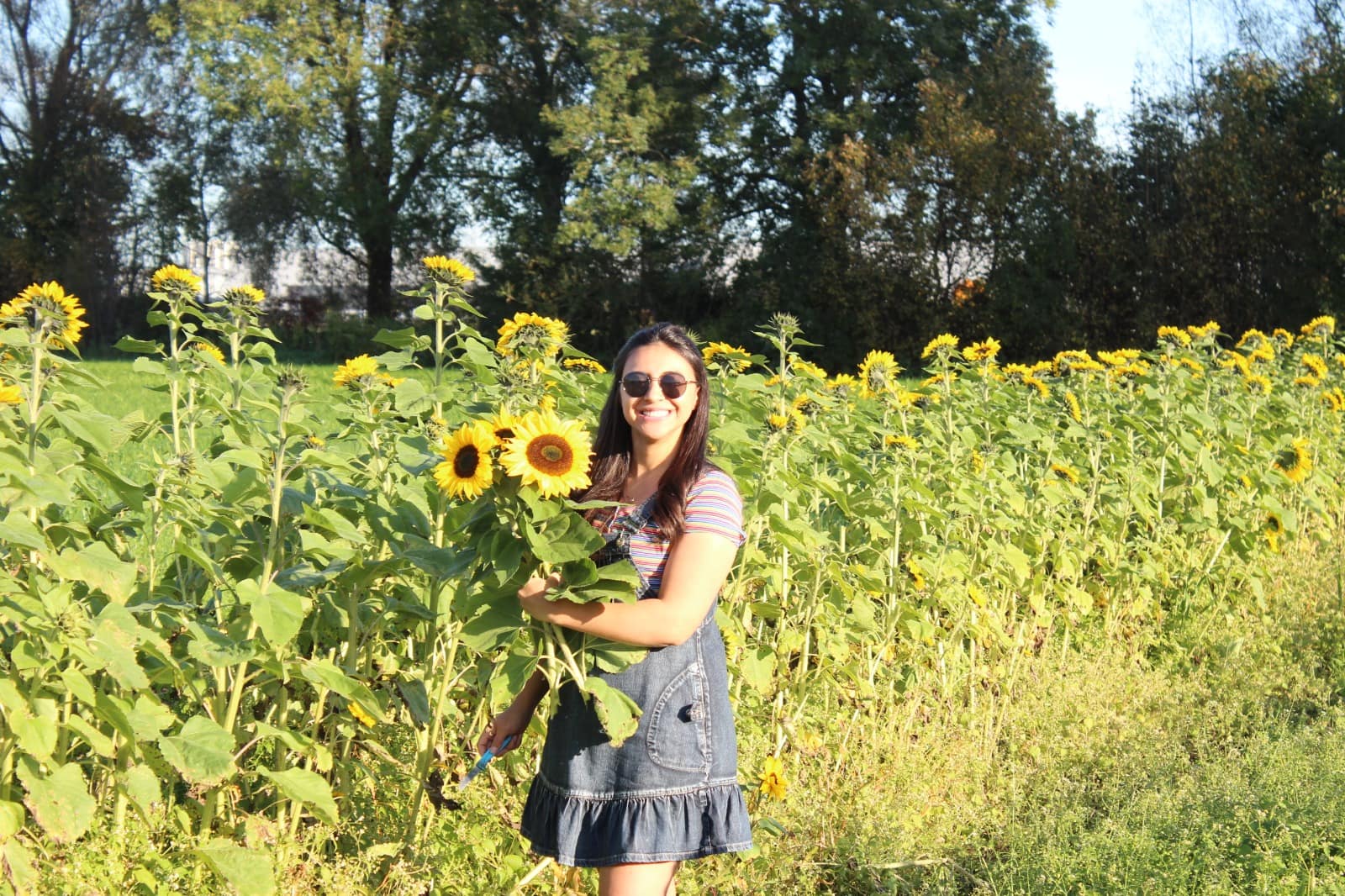 🌸 Primavera na Alemanha 10 Lugares Para Visitar