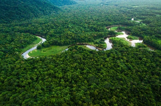 Mata Atlântica, SP