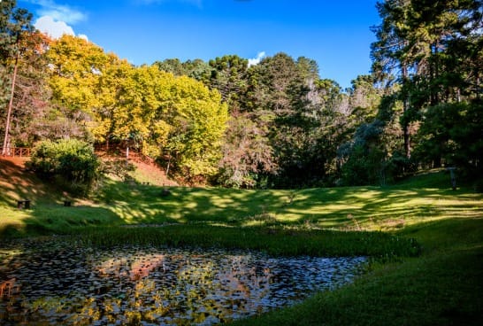 Parque Estadual de Campos do Jordão