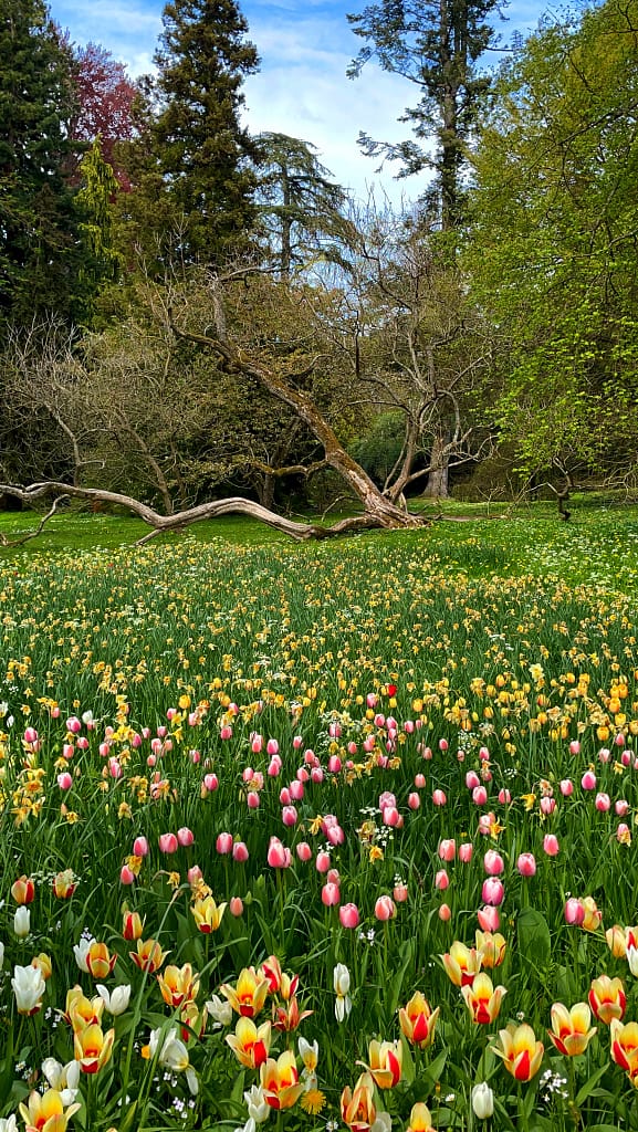 Mainau a Ilha das Flores