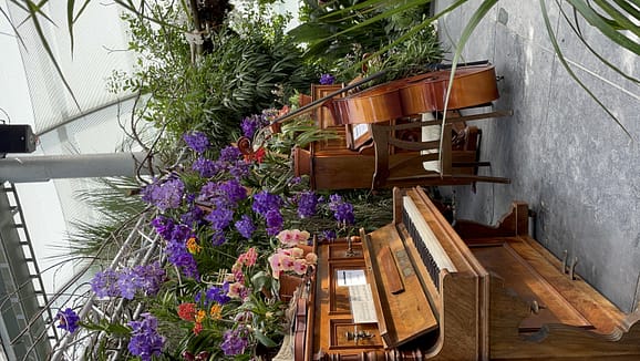 Mainau a Ilha das Flores