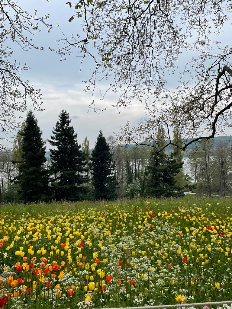 Mainau a Ilha das Flores