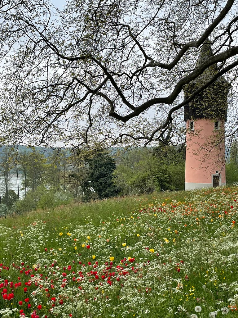 Mainau a Ilha das Flores