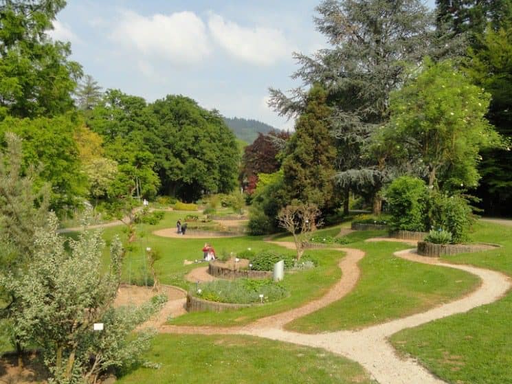 Jardim Botânico - Freiburg